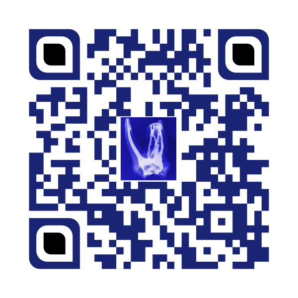 Lindemann Root Canal Specialists QR Code